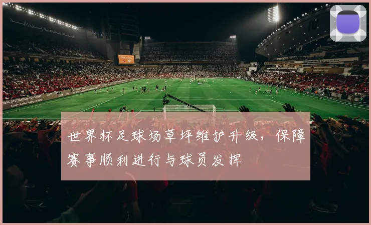 世界杯足球场草坪维护升级，保障赛事顺利进行与球员发挥