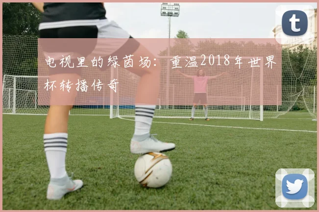 电视里的绿茵场：重温2018年世界杯转播传奇