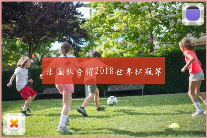 法国队夺得2018世界杯冠军