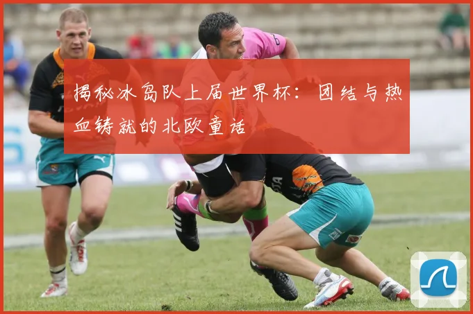 揭秘冰岛队上届世界杯：团结与热血铸就的北欧童话